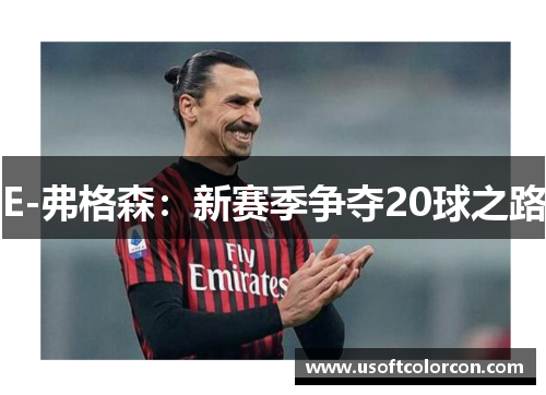 E-弗格森：新赛季争夺20球之路